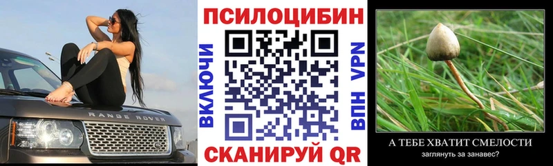 Псилоцибиновые грибы Magic Shrooms Сердобск