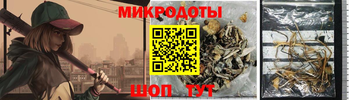 купить   Псилоцибиновые грибы мицелий  Галлюциногенные грибы MAGIC MUSHROOMS  Вход с VPN  Сердобск 